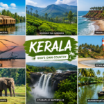 Kerala यात्रा गाइड 2026: घूमने की सबसे खूबसूरत जगहें, बैकवाटर्स और मुन्नार